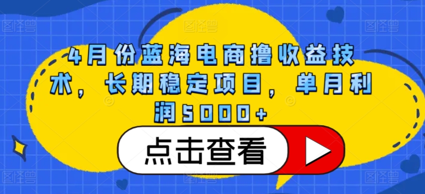 4月份蓝海电商撸收益技术，长期稳定项目，单月利润5000+-主题库网创