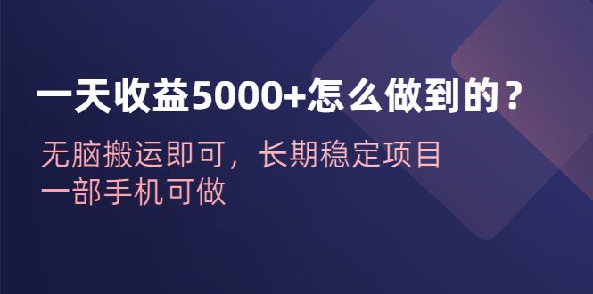 一天收益5000+怎么做到的？无脑搬运即可，长期稳定项目，一部手机可做-主题库网创