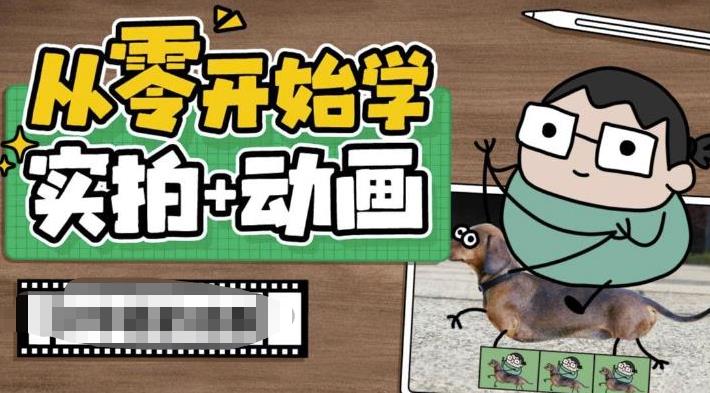 从零开始学实拍加动画，实拍加动画创意教程（49节视频课）-主题库网创