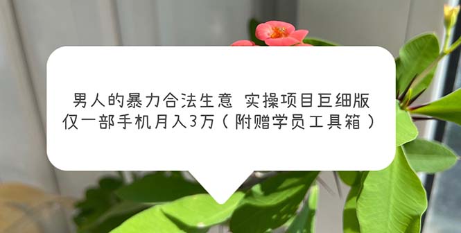 男人的暴力合法生意实操项目巨细版：仅一部手机月入3w（附赠学员工具箱）-主题库网创