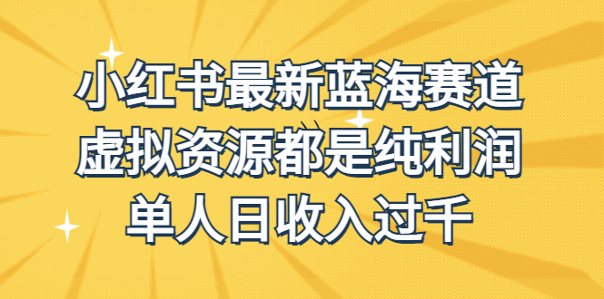 外面收费1980的小红书最新蓝海赛道，虚拟资源都是纯利润，单人日收入过千-主题库网创