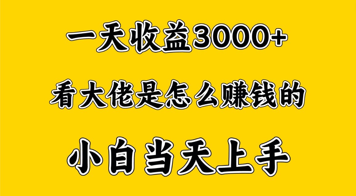 一天赚3000多，大佬是这样赚到钱的，小白当天上手，穷人翻身项目-主题库网创