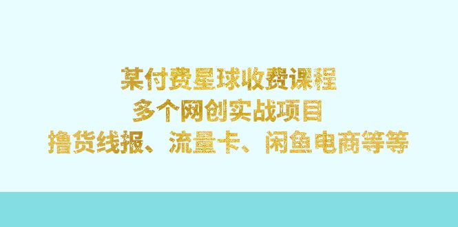 某付费星球课程：多个网创实战项目，撸货线报、流量卡、闲鱼电商等等-主题库网创