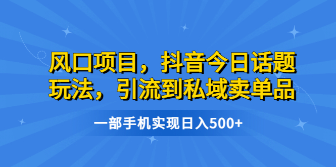 风口项目，抖音今日话题玩法，引流到私域卖单品，一部手机实现日入500+-主题库网创