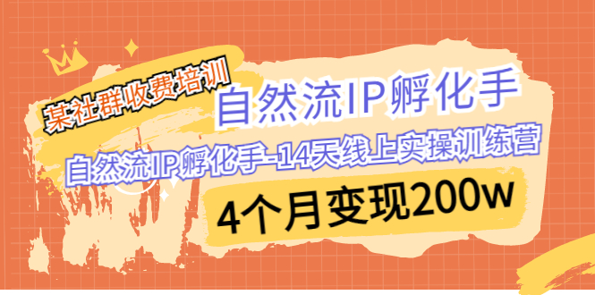 某社群收费培训：自然流IP 孵化手-14天线上实操训练营 4个月变现200w-主题库网创