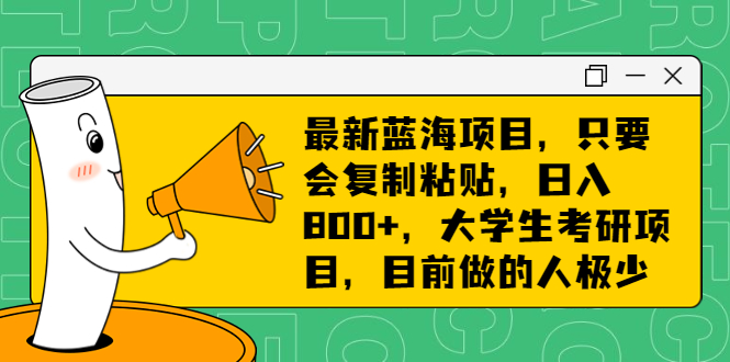 最新蓝海项目，只要会复制粘贴，日入800+，大学生考研项目，目前做的人极少-主题库网创