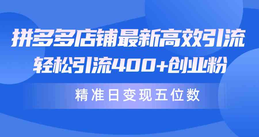 （10041期）拼多多店铺最新高效引流术，轻松引流400+创业粉，精准日变现五位数！-主题库网创