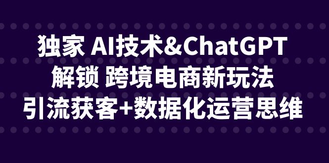 独家 AI技术&ChatGPT解锁 跨境电商新玩法，引流获客+数据化运营思维-主题库网创