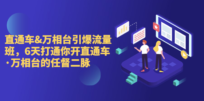 直通车+万相台引爆流量班，6天打通你开直通车·万相台的任督 二脉-主题库网创