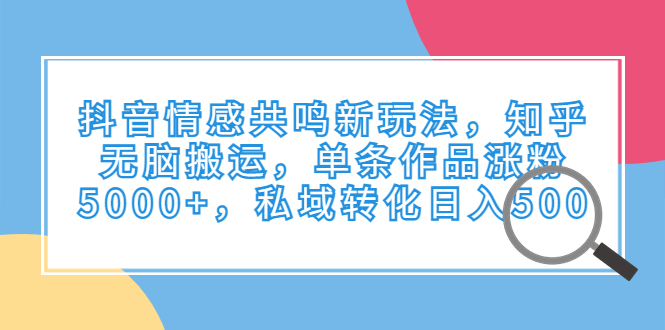 抖音情感共鸣新玩法，知乎无脑搬运，单条作品涨粉5000+，私域转化日入500-主题库网创