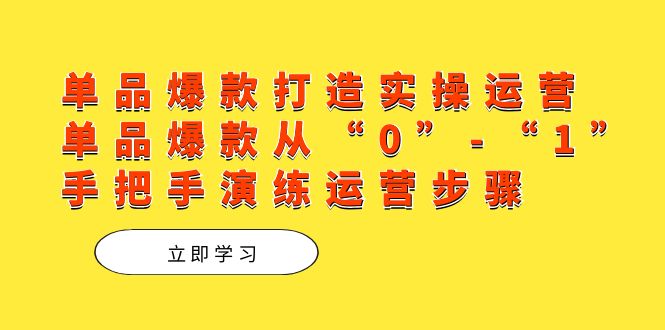 单品爆款打造实操运营，单品爆款从“0”-“1”手把手演练运营步骤-主题库网创