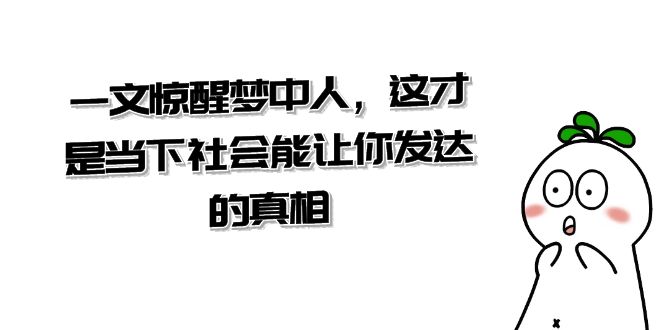 某公众号付费文章《一文 惊醒梦中人，这才是当下社会能让你发达的真相》-主题库网创