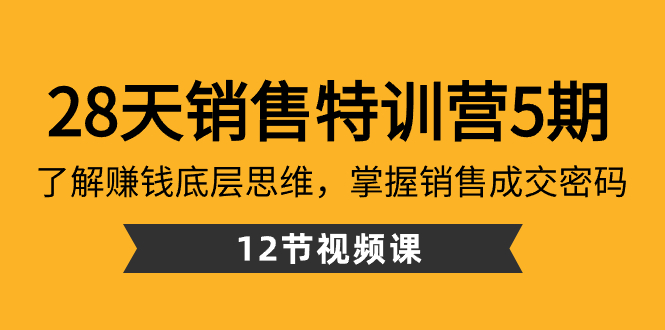 28天·销售特训营5期：了解赚钱底层思维，掌握销售成交密码（12节课）-主题库网创