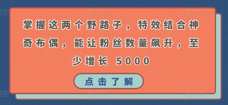 掌握这两个野路子，特效结合神奇布偶，能让粉丝数量飙升，至少增长 5000-主题库网创