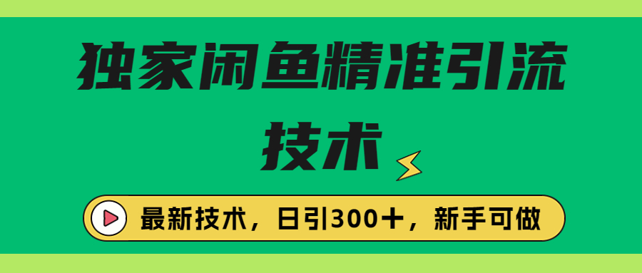 独家闲鱼引流技术，日引300＋实战玩法-主题库网创