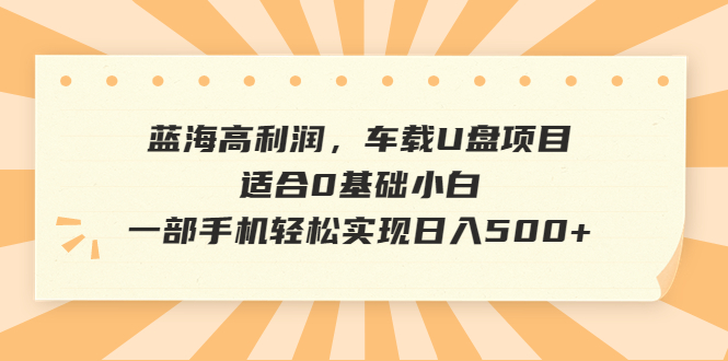 蓝海高利润，车载U盘项目，适合0基础小白，一部手机轻松实现日入500+-主题库网创