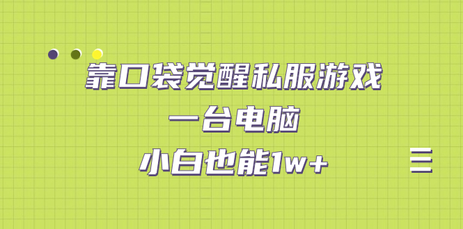 靠口袋觉醒私服游戏，一台电脑，小白也能1w+（教程+工具+资料）-主题库网创