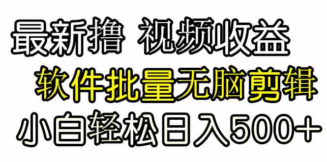 （9569期）发视频撸收益，软件无脑批量剪辑，第一天发第二天就有钱-主题库网创