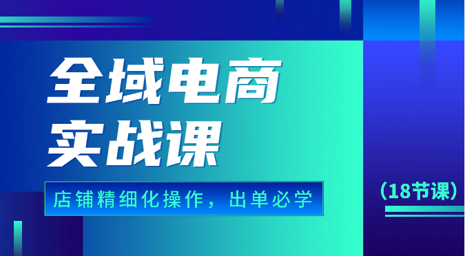 全域电商实战课，个人店铺精细化操作流程，出单必学内容（18节课）-主题库网创