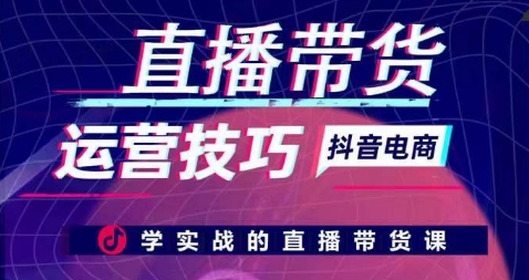 直播带货运营技巧，学实战的直播带货课-主题库网创