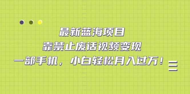 最新蓝海项目，靠禁止废话视频变现，一部手机，小白轻松月入过万！-主题库网创