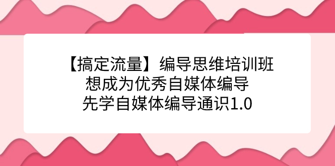 【搞定流量】编导思维培训班，想成为优秀自媒体编导先学自媒体编导通识1.0-主题库网创