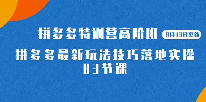 2023拼多多·特训营高阶班【9月19日更新】拼多多最新玩法技巧落地实操-83节-主题库网创