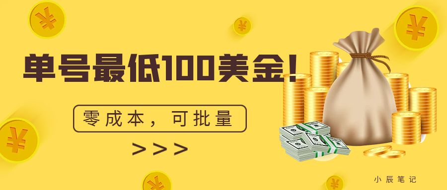 单号最低100美金，零成本，小白无脑操作。可复制，可扩大。-主题库网创