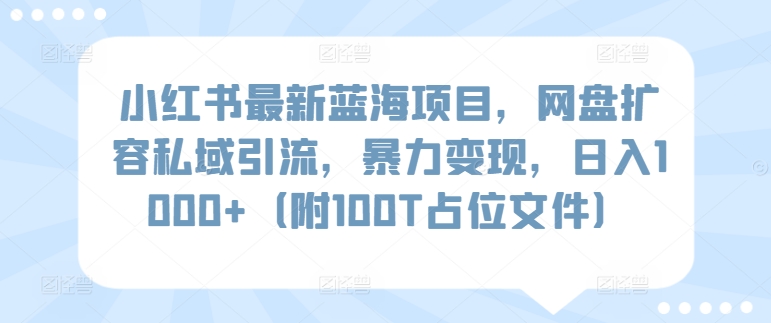 小红书最新蓝海项目，网盘扩容私域引流，暴力变现，日入1000+（附100T占位文件）-主题库网创