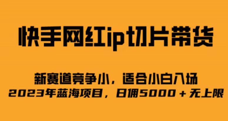 快手网红ip切片新赛道，竞争小事，适合小白 2023蓝海项目-主题库网创