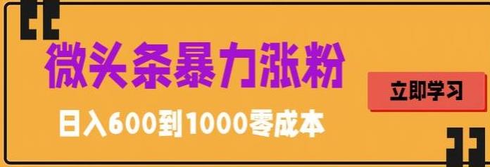 微头条暴力涨粉技巧搬运文案就能涨几万粉丝，简单0成本，日赚600-主题库网创