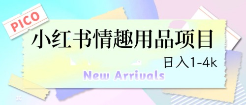 最新小红书情趣用品项目，日入1-4k-主题库网创