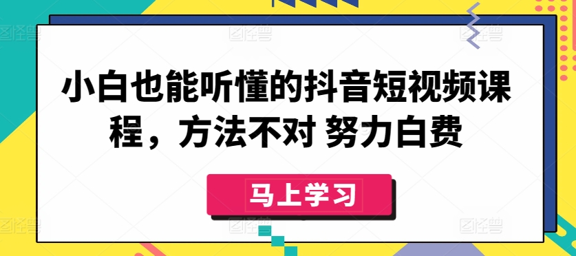 小白也能听懂的抖音短视频课程，方法不对 努力白费-主题库网创