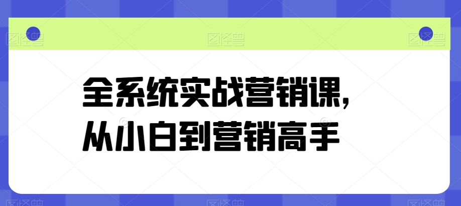 全系统实战营销课，从小白到营销高手-主题库网创