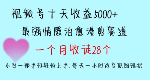 十天收益5000+，多平台捞金，视频号情感治愈漫剪，一个月收徒28个，小白一部手机轻松上手-主题库网创