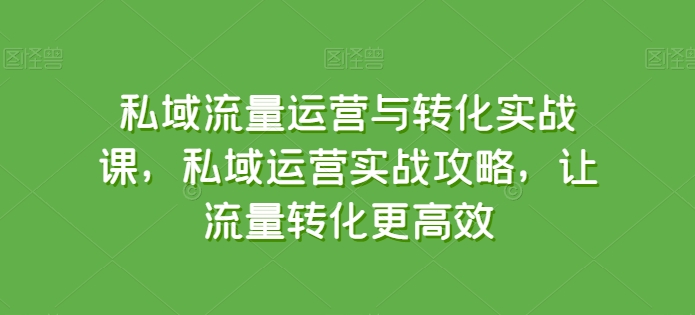 私域流量运营与转化实战课，私域运营实战攻略，让流量转化更高效-主题库网创