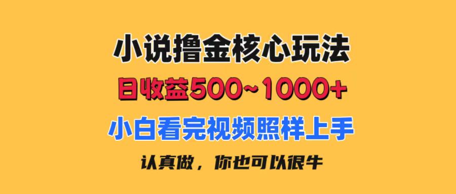 小说撸金核心玩法，日收益500-1000+，小白看完照样上手，0成本有手就行-主题库网创