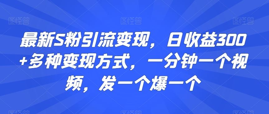 最新S粉引流变现，日收益300+多种变现方式，一分钟一个视频，发一个爆一个【揭秘】-主题库网创