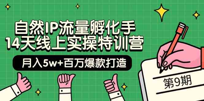 （9881期）自然IP流量孵化手 14天线上实操特训营【第9期】月入5w+百万爆款打造 (74节)-主题库网创