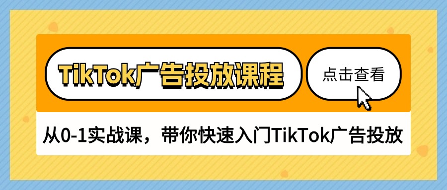 TikTok广告投放课程，从0-1实战课，带你快速入门TikTok广告投放（30节课）-主题库网创