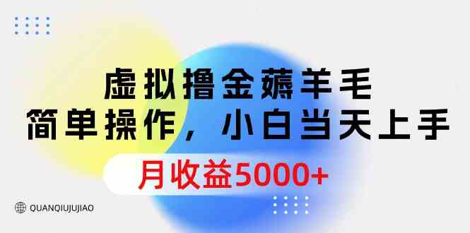 （9864期）虚拟撸金薅羊毛，简单操作，小白当天上手，月收益5000+-主题库网创