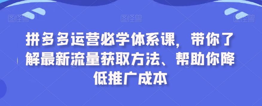 拼多多运营必学体系课，带你了解最新流量获取方法、帮助你降低推广成本-主题库网创