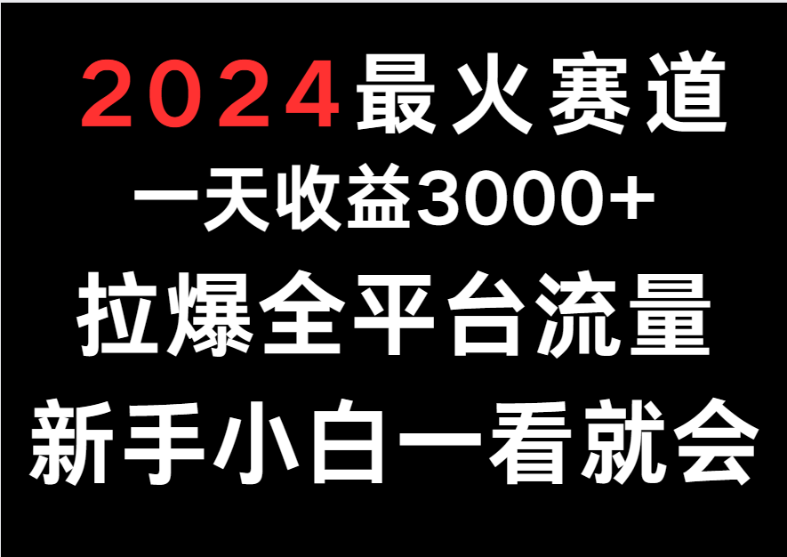 2024最火赛道，一天收一3000+.拉爆全平台流量，新手小白一看就会-主题库网创