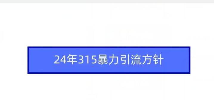 24年315暴力引流方针-主题库网创