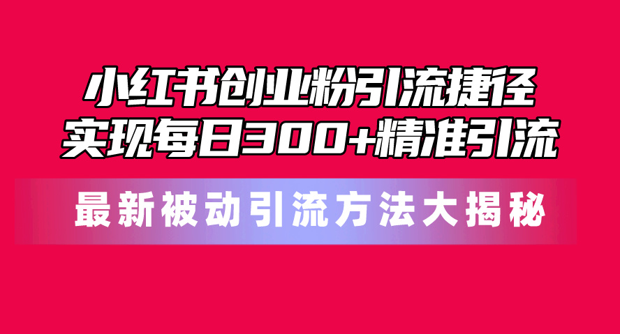 （10692期）小红书创业粉引流捷径！最新被动引流方法大揭秘，实现每日300+精准引流-主题库网创