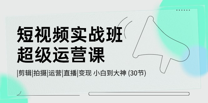 短视频实战班超级运营课 |剪辑|拍摄|运营|直播|变现 小白到大神 (30节)-主题库网创