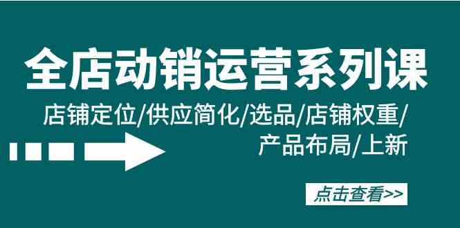 全店动销运营系列课：店铺定位/供应简化/选品/店铺权重/产品布局/上新-主题库网创