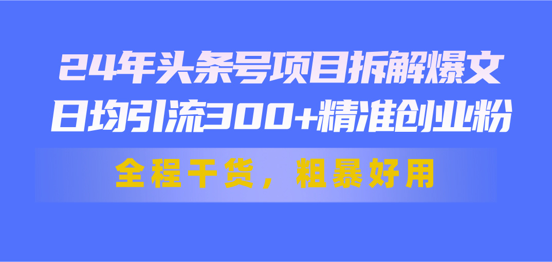 24年头条号项目拆解爆文，日均引流300+精准创业粉，全程干货，粗暴好用-主题库网创