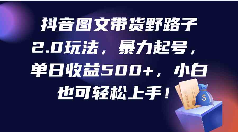 （9790期）抖音图文带货野路子2.0玩法，暴力起号，单日收益500+，小白也可轻松上手！-主题库网创