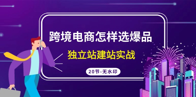 跨境电商怎样选爆品，独立站建站实战（20节高清课）-主题库网创